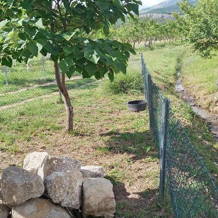 Stone House Vlasta Drnis Bagian luar foto