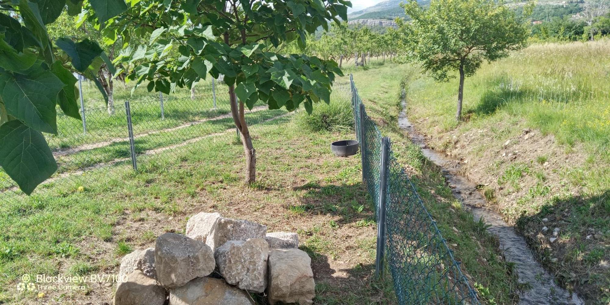 Stone House Vlasta Drnis Bagian luar foto